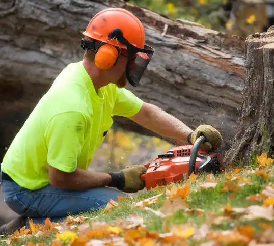 tree services Peñasco